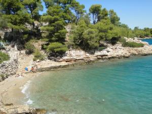 a group of people on a beach near the water at Villa Agava in Vrboska
