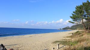 ชายหาดของเรียวกังหรือชายหาดที่อยู่ใกล้ ๆ