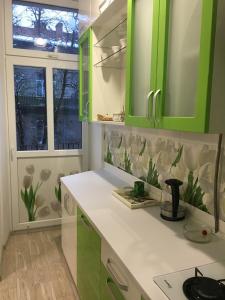 a kitchen with green cabinets and a counter top at Apartment Bombonyerka in Drohobytsch