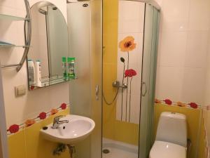 a bathroom with a shower and a sink and a toilet at Apartment Bombonyerka in Drogobych