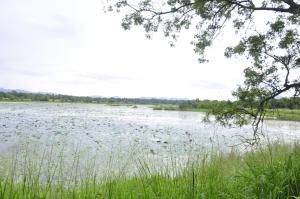 Paesaggio naturale nelle vicinanze della stanza in casa privata
