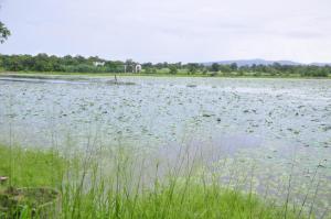 Paesaggio naturale nelle vicinanze della stanza in casa privata