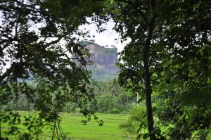Paesaggio naturale nelle vicinanze della stanza in casa privata