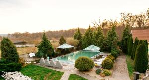 Zahrada ubytování Hotel Nicoleta
