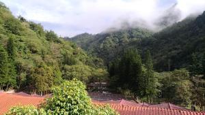 山林小屋附近的自然景觀