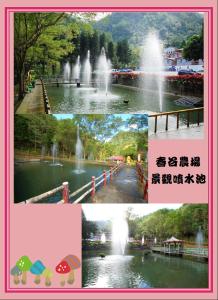 南庄的住宿－春谷養鱒休閒農場，相簿中的一張相片