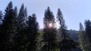 山林小屋附近的自然景觀