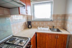 Kuchyňa alebo kuchynka v ubytovaní Villa Veli Vrh + 37 fotografií