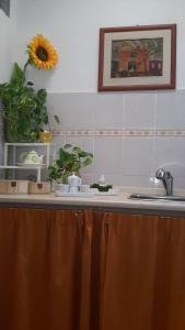 un bancone della cucina con lavandino e girasole di Le Tre Sorelle B&b Garbatella a Roma Altre 39 foto