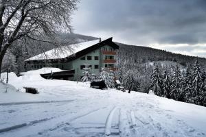 Cihlářka - horský apartmán 103 v zime