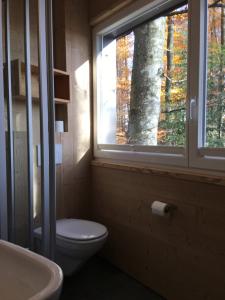 baño con aseo y ventana con árbol en Les Cabanes du Mont en Coeuve