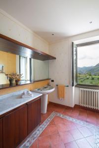 Gallery image of Olea Dei Holiday Apartments in San Felice del Benaco