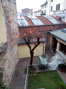 Un árbol con luces en un patio en Appartamento Rifredi, en Florencia
