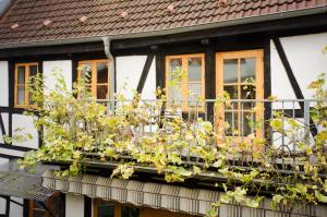 Taman di luar Herberge KAFFETIET