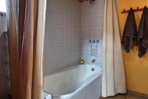 Vannituba majutusasutuses The Lazy Dog Inn a Mountain Lodge