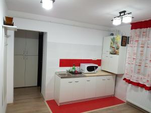 Кухня или мини-кухня в Apartament Confort
