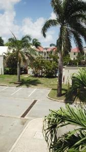 a parking lot with palm trees in front of a house at 1002 Crystal Court Condominiums in Saint James