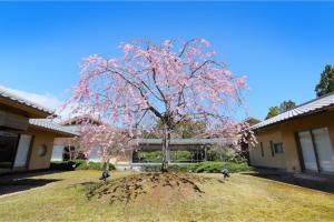 a tree with pink flowers in the middle of a yard at Saryo Souen in Sendai