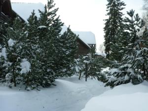 Hapimag Ferienwohnungen Braunlage v zimě