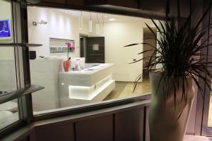 a bathroom with a potted plant in a window at Hotel La Conchiglia in Romano di Lombardia