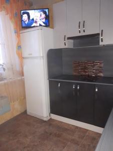 Kuchyň nebo kuchyňský kout v ubytování Apartment on Krasnoflotskaya 34