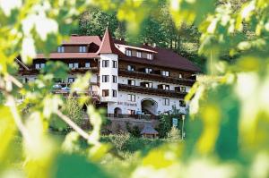 Imagen de la galería de Hotel Restaurant Stigenwirth, en Krakauebene