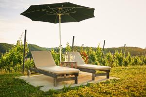 Vonkajšia záhrada v ubytovaní LOISIUM Wine & Spa Hotel Südsteiermark