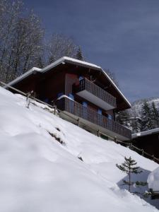 uma casa no topo de uma encosta coberta de neve em Le Ciel Bleu em Châtel