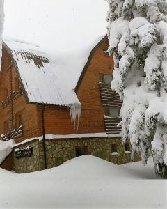 a building covered in snow next to a tree at Apartmani Marija in Jahorina