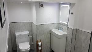 a bathroom with a toilet and a sink and a mirror at Hampton Court Guesthouse - City Centre in Glasgow