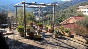 a group of potted plants sitting on a balcony at Appartamento Bellavista in Moneglia