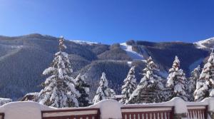 Afbeelding uit fotogalerij van Le Chalet d'Auron in Auron