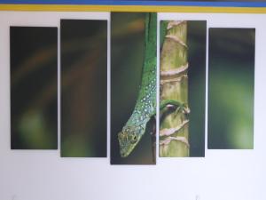 Foto sihtkohas Les Trois-Îlets asuva majutusasutuse Habitation Desrosiers galeriist