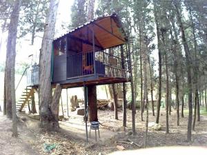 a tree house in the middle of a tree at Despierta En El Árbol Desayuno Americano a tu ritmo somos Petfriendly in Pesca
