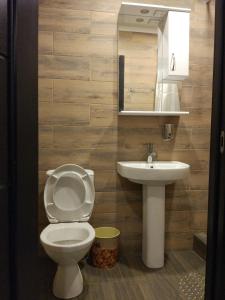 クラマトルスクにあるKoronaのバスルーム(トイレ、洗面台付)