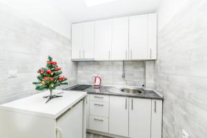 kuchnia z choinką świąteczną na ladzie w obiekcie Apartman Centar w mieście Banja Luka