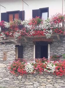 Zahrada ubytování B&B Terra di confine