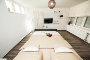TV a/nebo společenská místnost v ubytování Studio apartman Centar