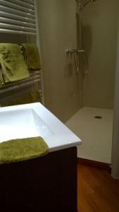 La salle de bains est pourvue d'une douche et d'un comptoir blanc. dans l'établissement B&B De Zoete Kers, à Wakken