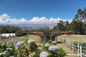a garden with purple flowers and a white fence at The Lazy Dog Inn a Mountain Lodge in Huaraz