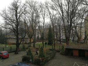 A garden outside Velvet Apartament Kopińska