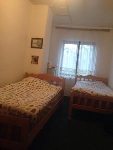 two beds in a room with a window at Bujtina Zhaveli in Gjakove