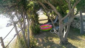 Zahrada ubytování Summer House Hacienda, Pag - Miškovići