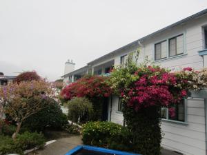 Zahrada ubytování Arbor Inn Monterey