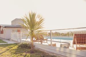 una palmera en un balcón con piscina en El Balcón de Punilla en Villa Giardino