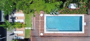 an overhead view of a swimming pool with palm trees at Byron Palms Guesthouse in Byron Bay +17 photos