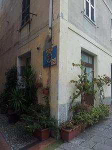 Gallery image of Affittacamere Rosa Dei Venti in Levanto