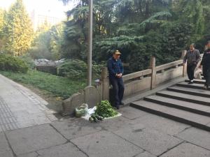 杭州《小风小物逛杭州》作者的书房，散步到西湖的相册照片