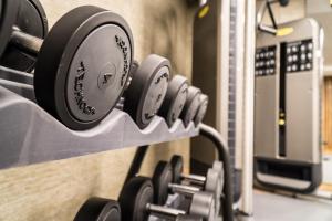 Fitness centrum a/nebo fitness zařízení v ubytování The Capra Saas-Fee