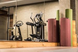 Fitness centrum a/nebo fitness zařízení v ubytování The Capra Saas-Fee